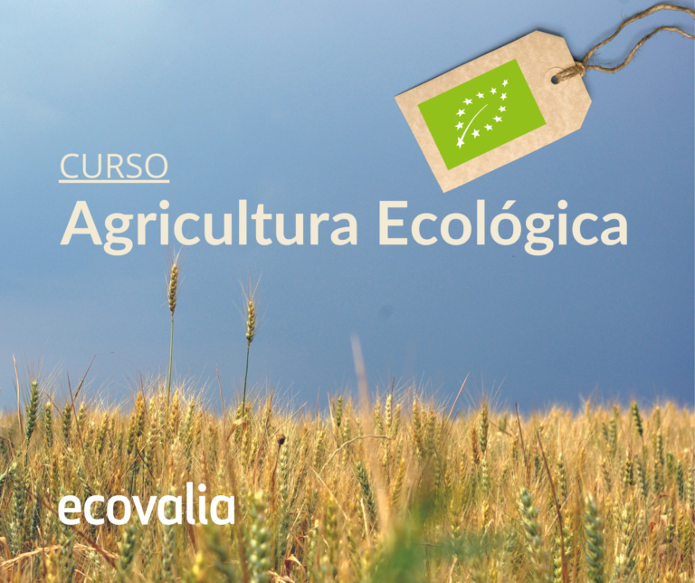 Curso Agricultura Ecológica – Campus Ecovalia
