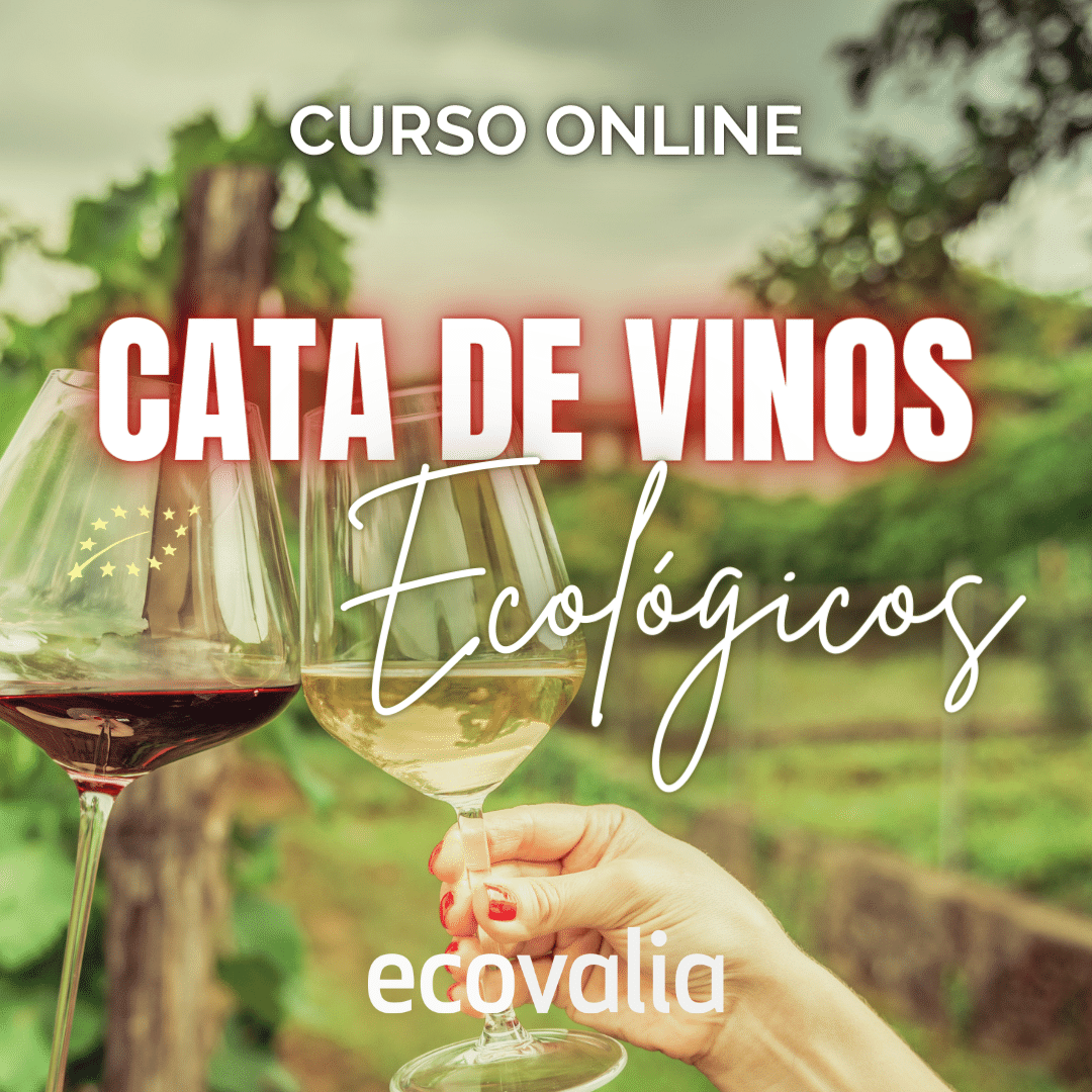 curso-online-cata-de-vinos-ecologicos-ecovalia-campus