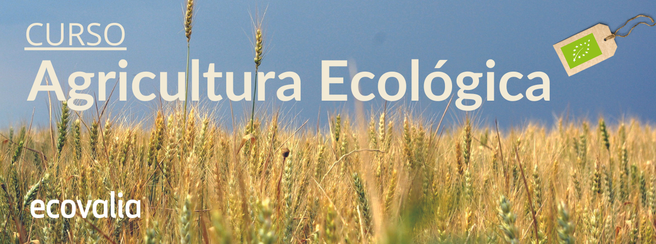 Curso agricultura ecologica
